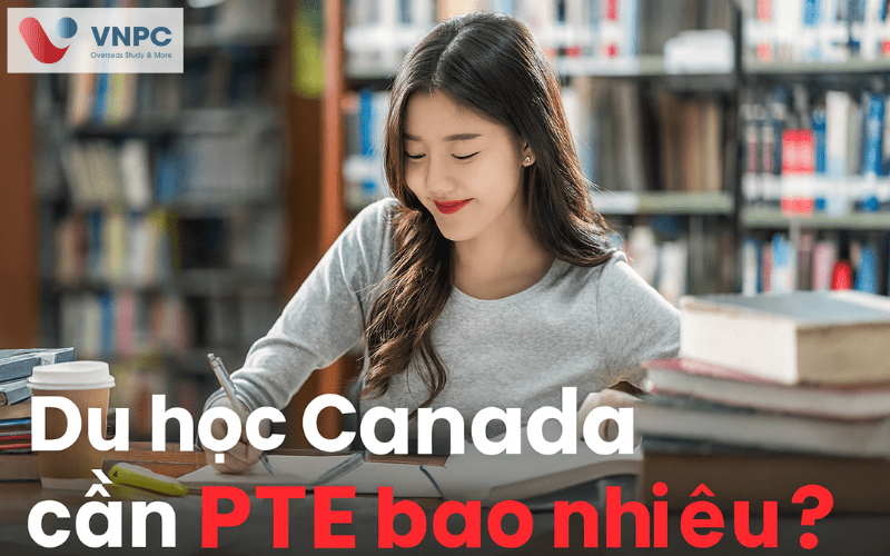 KING88 là nhà cái giải trí đỉnh cao Canada cần PTE bao nhiêu điểm? Cập nhật yêu cầu theo bậc học